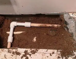 怀化测漏水哪家好